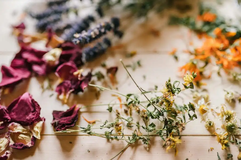 Dried flowers and petals over a wooden table is a mark of a green witch