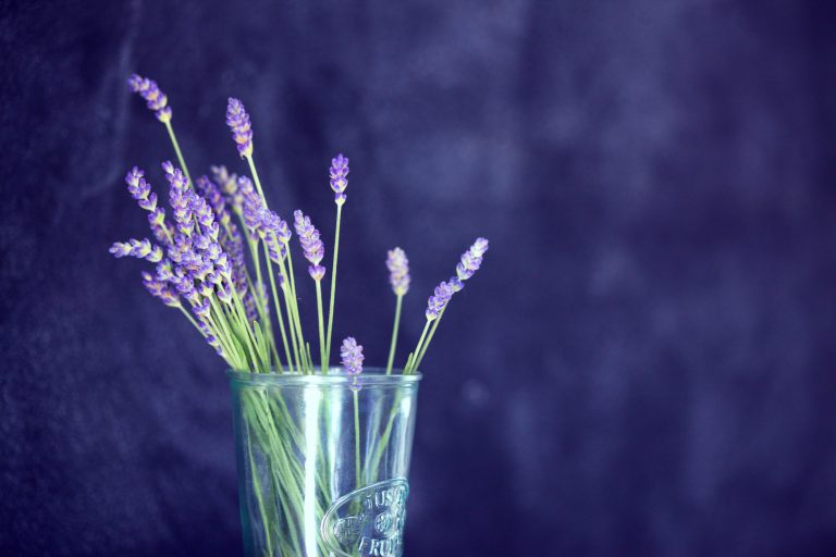 A handful of fresh summer lavender picked from around my yard.