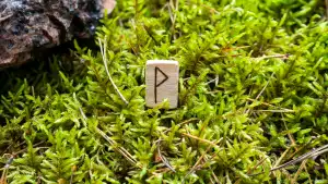 Wunjo, the rune of joy and harmony, reminds us to cherish life’s simple pleasures and cultivate inner contentment.