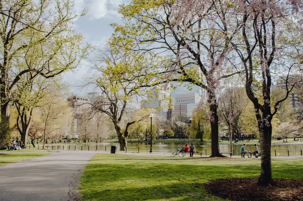 Boston Commons in the Spring