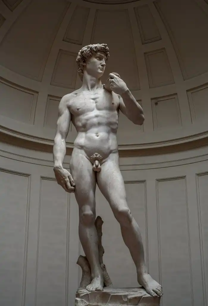 Michelangelo's David, 1504