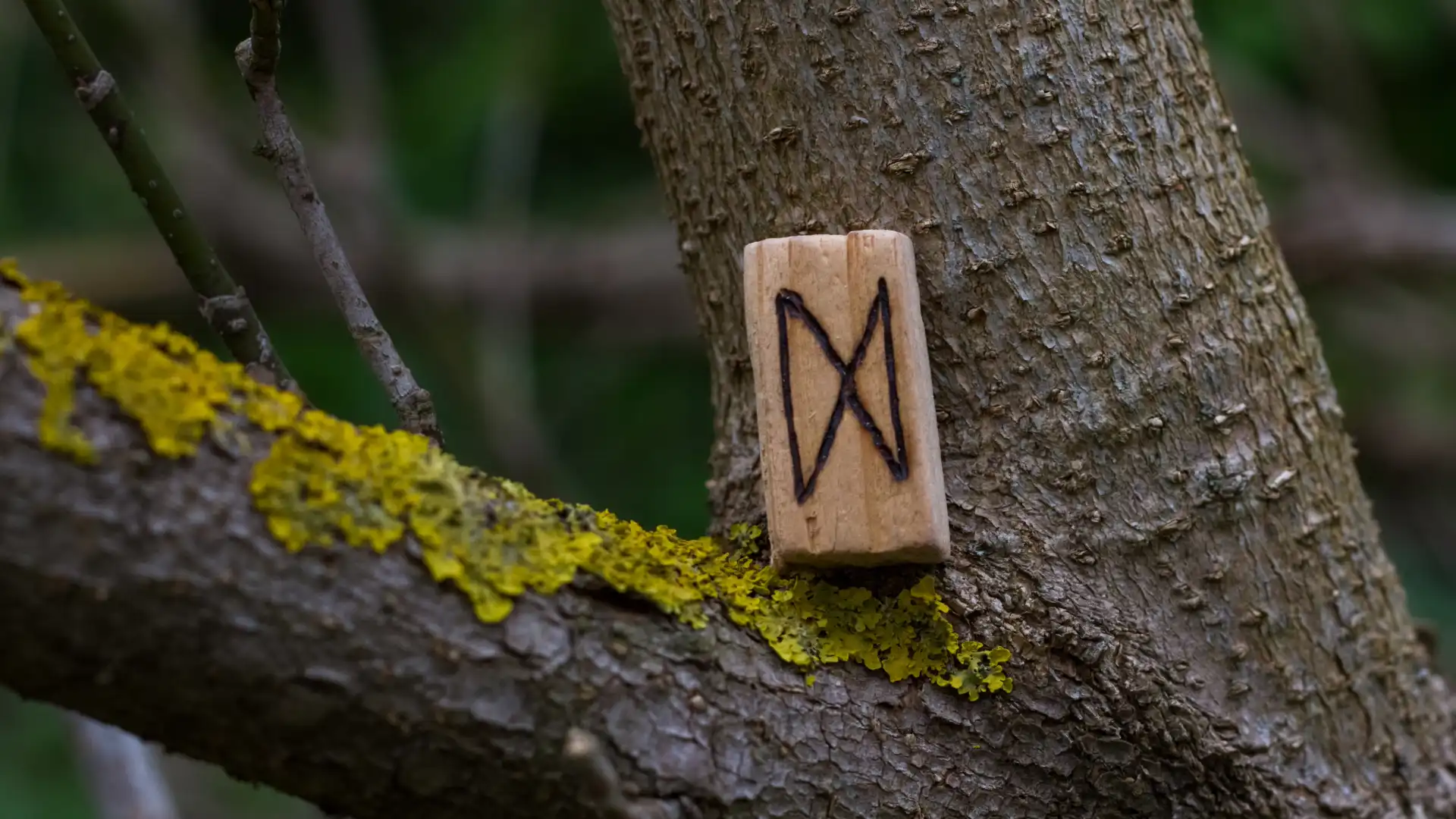 Dagaz: The Rune of Transformation and New Beginnings